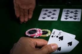 rainbet